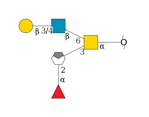 redEnd--?a1D-GalNAc,p(--3b1D-Gal,p/#xcleavage_0_4--2a1L-Fuc,p)--6b1D-GlcNAc,p--3/4b1D-Gal,p$MONO,Und,-H,0,redEnd
