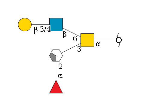 redEnd--?a1D-GalNAc,p(--3b1D-Gal,p/#xcleavage_2_4--2a1L-Fuc,p)--6b1D-GlcNAc,p--3/4b1D-Gal,p$MONO,Und,-H,0,redEnd