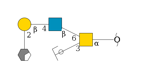 redEnd--?a1D-GalNAc,p(--3b1D-Gal,p/#ycleavage)--6b1D-GlcNAc,p--4b1D-Gal,p--2a1L-Fuc,p/#xcleavage_0_2$MONO,Und,-H,0,redEnd