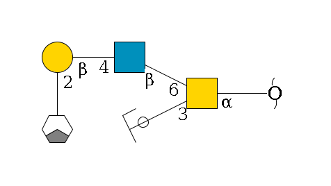 redEnd--?a1D-GalNAc,p(--3b1D-Gal,p/#ycleavage)--6b1D-GlcNAc,p--4b1D-Gal,p--2a1L-Fuc,p/#xcleavage_1_3$MONO,Und,-H,0,redEnd