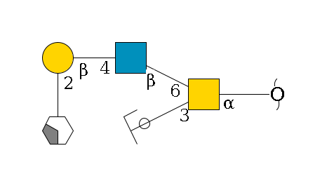redEnd--?a1D-GalNAc,p(--3b1D-Gal,p/#ycleavage)--6b1D-GlcNAc,p--4b1D-Gal,p--2a1L-Fuc,p/#xcleavage_2_4$MONO,Und,-H,0,redEnd