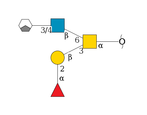 redEnd--?a1D-GalNAc,p(--3b1D-Gal,p--2a1L-Fuc,p)--6b1D-GlcNAc,p--3/4b1D-Gal,p/#xcleavage_1_3$MONO,Und,-H,0,redEnd