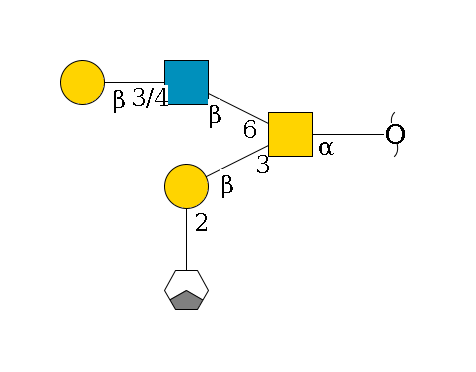 redEnd--?a1D-GalNAc,p(--3b1D-Gal,p--2a1L-Fuc,p/#xcleavage_1_3)--6b1D-GlcNAc,p--3/4b1D-Gal,p$MONO,Und,-H,0,redEnd