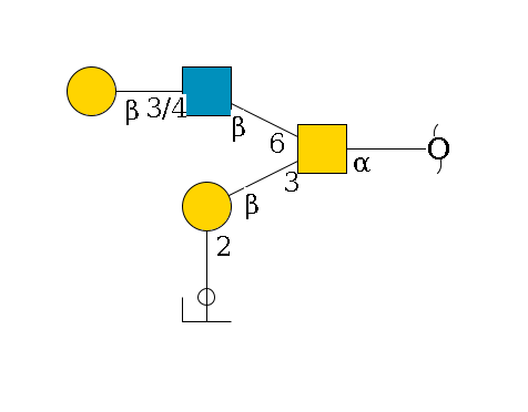 redEnd--?a1D-GalNAc,p(--3b1D-Gal,p--2a1L-Fuc,p/#ycleavage)--6b1D-GlcNAc,p--3/4b1D-Gal,p$MONO,Und,-H,0,redEnd