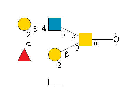 redEnd--?a1D-GalNAc,p(--3b1D-Gal,p--2a1L-Fuc,p/#zcleavage)--6b1D-GlcNAc,p--4b1D-Gal,p--2a1L-Fuc,p$MONO,Und,-H,0,redEnd