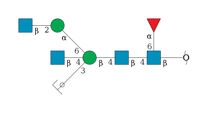 redEnd--?b1D-GlcNAc,p(--4b1D-GlcNAc,p--4b1D-Man,p((--3a1D-Man,p/#ycleavage)--4b1D-GlcNAc,p)--6a1D-Man,p--2b1D-GlcNAc,p)--6a1L-Fuc,p$MONO,Und,-2H,0,redEnd