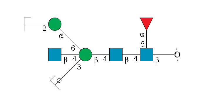 redEnd--?b1D-GlcNAc,p(--4b1D-GlcNAc,p--4b1D-Man,p((--3a1D-Man,p/#ycleavage)--4b1D-GlcNAc,p)--6a1D-Man,p--2b1D-GlcNAc,p/#zcleavage)--6a1L-Fuc,p$MONO,Und,-H,0,redEnd
