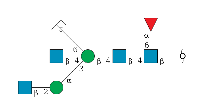 redEnd--?b1D-GlcNAc,p(--4b1D-GlcNAc,p--4b1D-Man,p((--3a1D-Man,p--2b1D-GlcNAc,p)--4b1D-GlcNAc,p)--6a1D-Man,p/#ycleavage)--6a1L-Fuc,p$MONO,Und,-2H,0,redEnd