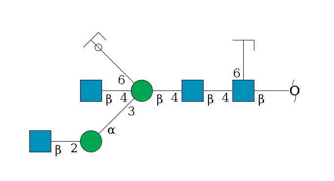 redEnd--?b1D-GlcNAc,p(--4b1D-GlcNAc,p--4b1D-Man,p((--3a1D-Man,p--2b1D-GlcNAc,p)--4b1D-GlcNAc,p)--6a1D-Man,p/#ycleavage)--6a1L-Fuc,p/#zcleavage$MONO,Und,-2H,0,redEnd