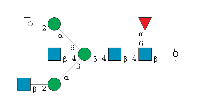 redEnd--?b1D-GlcNAc,p(--4b1D-GlcNAc,p--4b1D-Man,p((--3a1D-Man,p--2b1D-GlcNAc,p)--4b1D-GlcNAc,p)--6a1D-Man,p--2b1D-GlcNAc,p/#ycleavage)--6a1L-Fuc,p$MONO,Und,-2H,0,redEnd