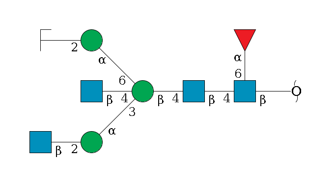 redEnd--?b1D-GlcNAc,p(--4b1D-GlcNAc,p--4b1D-Man,p((--3a1D-Man,p--2b1D-GlcNAc,p)--4b1D-GlcNAc,p)--6a1D-Man,p--2b1D-GlcNAc,p/#zcleavage)--6a1L-Fuc,p$MONO,Und,-2H,0,redEnd
