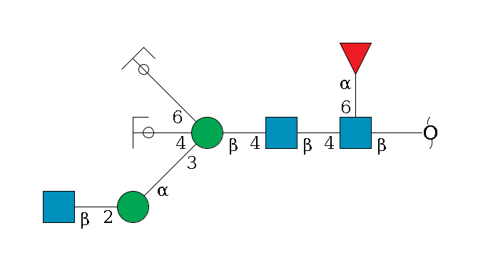 redEnd--?b1D-GlcNAc,p(--4b1D-GlcNAc,p--4b1D-Man,p((--3a1D-Man,p--2b1D-GlcNAc,p)--4b1D-GlcNAc,p/#ycleavage)--6a1D-Man,p/#ycleavage)--6a1L-Fuc,p$MONO,Und,-2H,0,redEnd