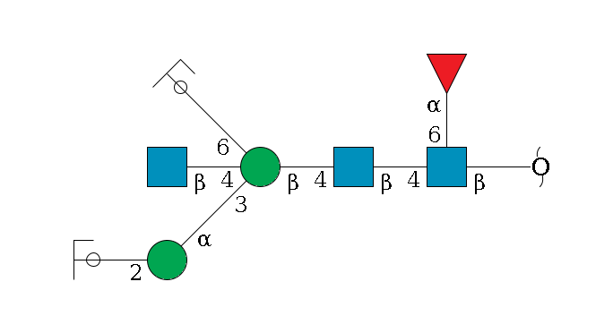 redEnd--?b1D-GlcNAc,p(--4b1D-GlcNAc,p--4b1D-Man,p((--3a1D-Man,p--2b1D-GlcNAc,p/#ycleavage)--4b1D-GlcNAc,p)--6a1D-Man,p/#ycleavage)--6a1L-Fuc,p$MONO,Und,-2H,0,redEnd