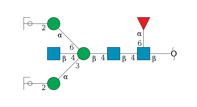 redEnd--?b1D-GlcNAc,p(--4b1D-GlcNAc,p--4b1D-Man,p((--3a1D-Man,p--2b1D-GlcNAc,p/#ycleavage)--4b1D-GlcNAc,p)--6a1D-Man,p--2b1D-GlcNAc,p/#ycleavage)--6a1L-Fuc,p$MONO,Und,-2H,0,redEnd