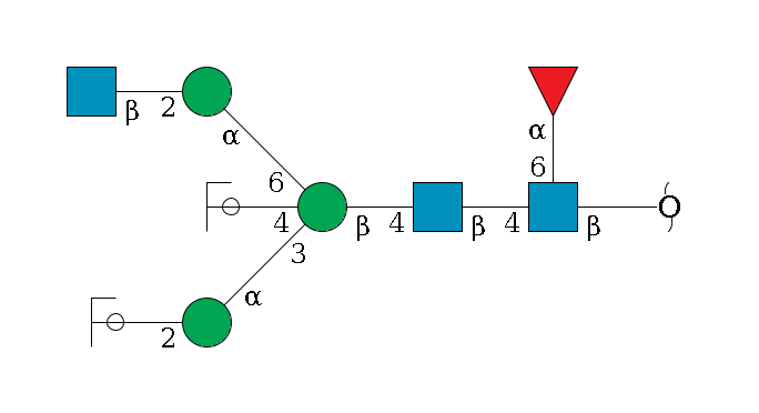 redEnd--?b1D-GlcNAc,p(--4b1D-GlcNAc,p--4b1D-Man,p((--3a1D-Man,p--2b1D-GlcNAc,p/#ycleavage)--4b1D-GlcNAc,p/#ycleavage)--6a1D-Man,p--2b1D-GlcNAc,p)--6a1L-Fuc,p$MONO,Und,-2H,0,redEnd