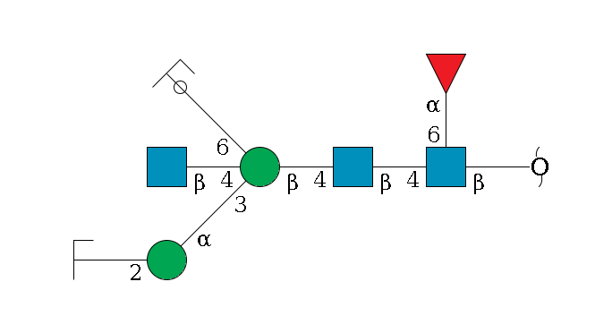 redEnd--?b1D-GlcNAc,p(--4b1D-GlcNAc,p--4b1D-Man,p((--3a1D-Man,p--2b1D-GlcNAc,p/#zcleavage)--4b1D-GlcNAc,p)--6a1D-Man,p/#ycleavage)--6a1L-Fuc,p$MONO,Und,-H,0,redEnd