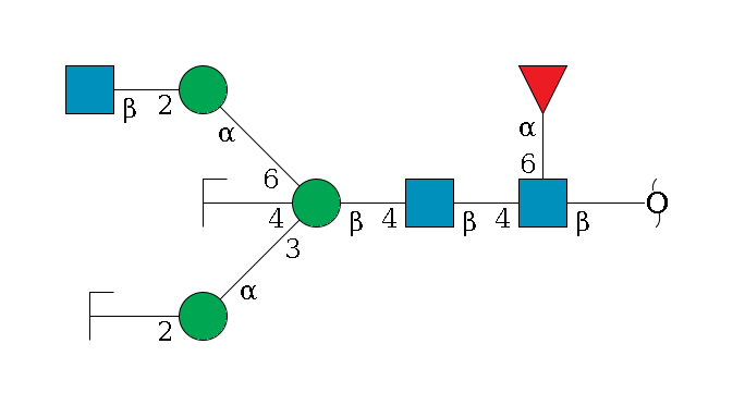 redEnd--?b1D-GlcNAc,p(--4b1D-GlcNAc,p--4b1D-Man,p((--3a1D-Man,p--2b1D-GlcNAc,p/#zcleavage)--4b1D-GlcNAc,p/#zcleavage)--6a1D-Man,p--2b1D-GlcNAc,p)--6a1L-Fuc,p$MONO,Und,-2H,0,redEnd
