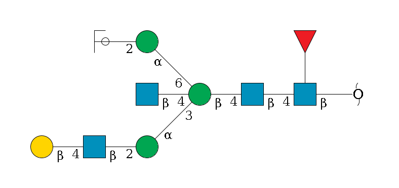 redEnd--?b1D-GlcNAc,p(--4b1D-GlcNAc,p--4b1D-Man,p((--3a1D-Man,p--2b1D-GlcNAc,p--4b1D-Gal,p)--4b1D-GlcNAc,p)--6a1D-Man,p--2b1D-GlcNAc,p/#ycleavage)--??1L-Fuc,p$MONO,Und,-2H,0,redEnd