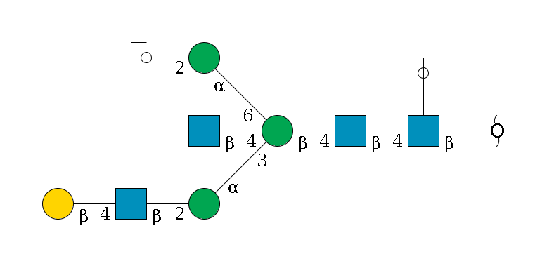 redEnd--?b1D-GlcNAc,p(--4b1D-GlcNAc,p--4b1D-Man,p((--3a1D-Man,p--2b1D-GlcNAc,p--4b1D-Gal,p)--4b1D-GlcNAc,p)--6a1D-Man,p--2b1D-GlcNAc,p/#ycleavage)--??1L-Fuc,p/#ycleavage$MONO,Und,-2H,0,redEnd