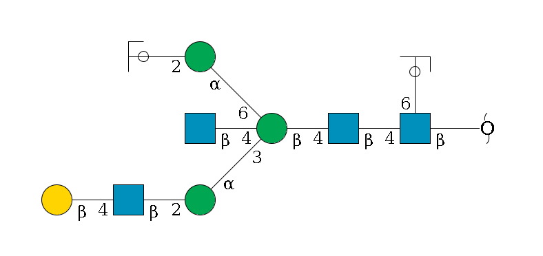 redEnd--?b1D-GlcNAc,p(--4b1D-GlcNAc,p--4b1D-Man,p((--3a1D-Man,p--2b1D-GlcNAc,p--4b1D-Gal,p)--4b1D-GlcNAc,p)--6a1D-Man,p--2b1D-GlcNAc,p/#ycleavage)--6a1L-Fuc,p/#ycleavage$MONO,Und,-H,0,redEnd