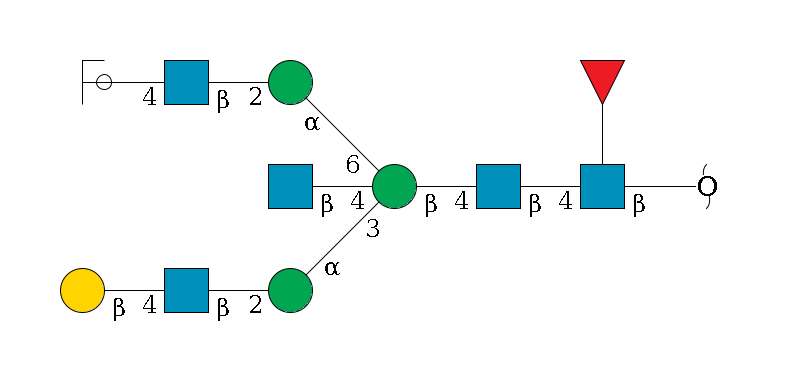 redEnd--?b1D-GlcNAc,p(--4b1D-GlcNAc,p--4b1D-Man,p((--3a1D-Man,p--2b1D-GlcNAc,p--4b1D-Gal,p)--4b1D-GlcNAc,p)--6a1D-Man,p--2b1D-GlcNAc,p--4b1D-Gal,p/#ycleavage)--??1L-Fuc,p$MONO,Und,-2H,0,redEnd