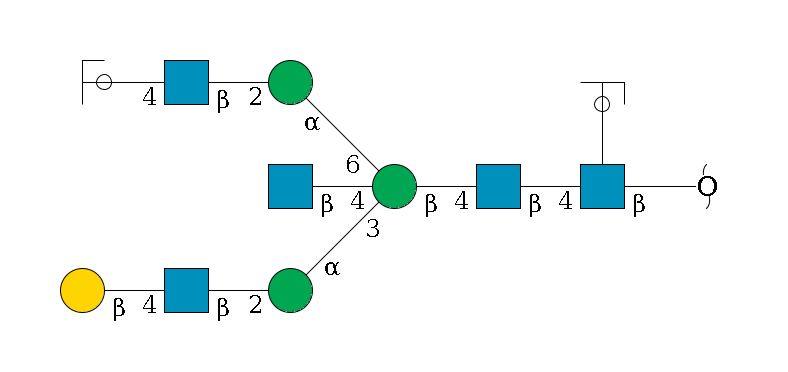redEnd--?b1D-GlcNAc,p(--4b1D-GlcNAc,p--4b1D-Man,p((--3a1D-Man,p--2b1D-GlcNAc,p--4b1D-Gal,p)--4b1D-GlcNAc,p)--6a1D-Man,p--2b1D-GlcNAc,p--4b1D-Gal,p/#ycleavage)--??1L-Fuc,p/#ycleavage$MONO,Und,-2H,0,redEnd
