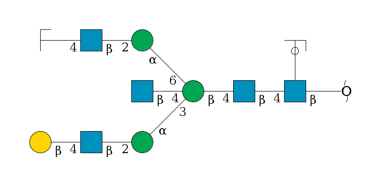 redEnd--?b1D-GlcNAc,p(--4b1D-GlcNAc,p--4b1D-Man,p((--3a1D-Man,p--2b1D-GlcNAc,p--4b1D-Gal,p)--4b1D-GlcNAc,p)--6a1D-Man,p--2b1D-GlcNAc,p--4b1D-Gal,p/#zcleavage)--??1L-Fuc,p/#ycleavage$MONO,Und,-2H,0,redEnd