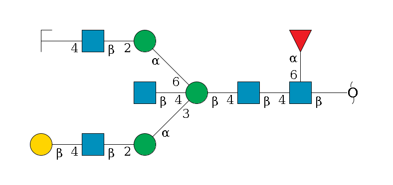 redEnd--?b1D-GlcNAc,p(--4b1D-GlcNAc,p--4b1D-Man,p((--3a1D-Man,p--2b1D-GlcNAc,p--4b1D-Gal,p)--4b1D-GlcNAc,p)--6a1D-Man,p--2b1D-GlcNAc,p--4b1D-Gal,p/#zcleavage)--6a1L-Fuc,p$MONO,Und,-H,0,redEnd