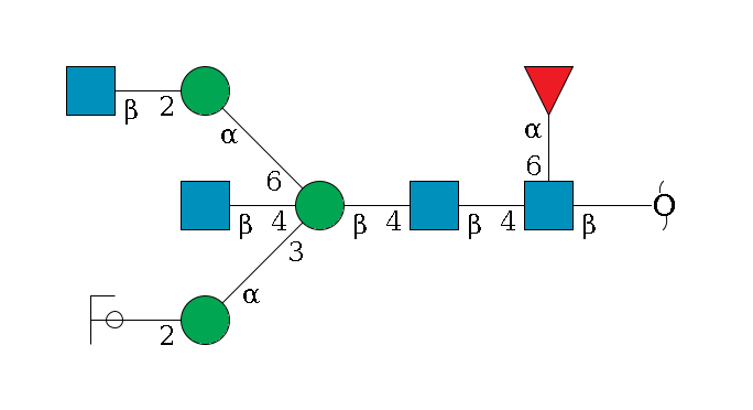redEnd--?b1D-GlcNAc,p(--6a1L-Fuc,p)--4b1D-GlcNAc,p--4b1D-Man,p((--3a1D-Man,p--2b1D-GlcNAc,p/#ycleavage)--4b1D-GlcNAc,p)--6a1D-Man,p--2b1D-GlcNAc,p$MONO,Und,-2H,0,redEnd