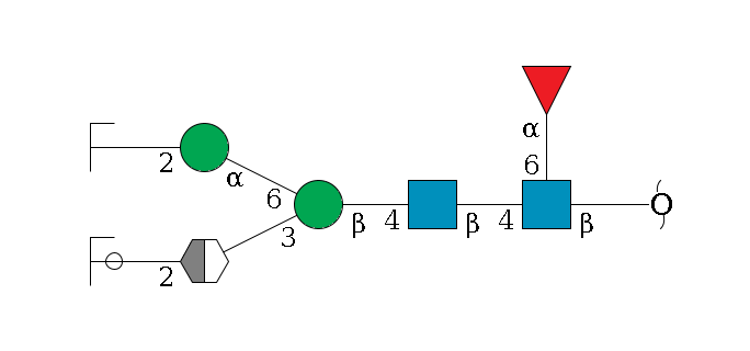 redEnd--?b1D-GlcNAc,p(--6a1L-Fuc,p)--4b1D-GlcNAc,p--4b1D-Man,p(--3a1D-Man,p/#xcleavage_2_5--2b1D-GlcNAc,p/#ycleavage)--6a1D-Man,p--2b1D-GlcNAc,p/#zcleavage$MONO,Und,-H,0,redEnd