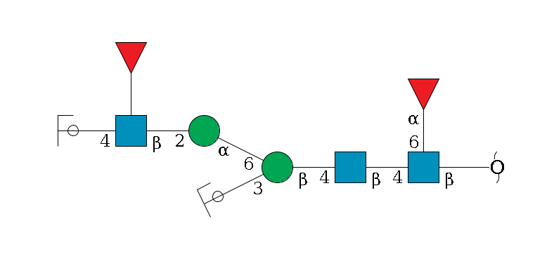 redEnd--?b1D-GlcNAc,p(--6a1L-Fuc,p)--4b1D-GlcNAc,p--4b1D-Man,p(--3a1D-Man,p/#ycleavage)--6a1D-Man,p--2b1D-GlcNAc,p(--4b1D-Gal,p/#ycleavage)--??1L-Fuc,p$MONO,Und,-H,0,redEnd