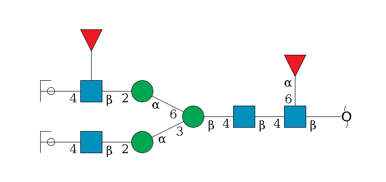 redEnd--?b1D-GlcNAc,p(--6a1L-Fuc,p)--4b1D-GlcNAc,p--4b1D-Man,p(--3a1D-Man,p--2b1D-GlcNAc,p--4b1D-Gal,p/#ycleavage)--6a1D-Man,p--2b1D-GlcNAc,p(--4b1D-Gal,p/#ycleavage)--??1L-Fuc,p$MONO,Und,-H,0,redEnd