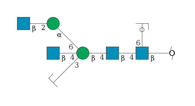 redEnd--?b1D-GlcNAc,p(--6a1L-Fuc,p/#ycleavage)--4b1D-GlcNAc,p--4b1D-Man,p((--3a1D-Man,p/#zcleavage)--4b1D-GlcNAc,p)--6a1D-Man,p--2b1D-GlcNAc,p$MONO,Und,-2H,0,redEnd