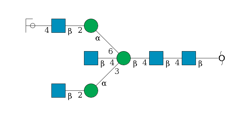 redEnd--?b1D-GlcNAc,p--4b1D-GlcNAc,p--4b1D-Man,p((--3a1D-Man,p--2b1D-GlcNAc,p)--4b1D-GlcNAc,p)--6a1D-Man,p--2b1D-GlcNAc,p--4b1D-Gal,p/#ycleavage$MONO,Und,-2H,0,redEnd