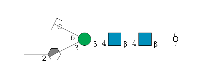 redEnd--?b1D-GlcNAc,p--4b1D-GlcNAc,p--4b1D-Man,p(--3a1D-Man,p/#xcleavage_0_3--2b1D-GlcNAc,p/#zcleavage)--6a1D-Man,p/#ycleavage$MONO,Und,-H,0,redEnd