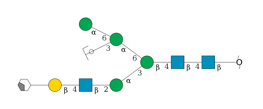 redEnd--?b1D-GlcNAc,p--4b1D-GlcNAc,p--4b1D-Man,p(--3a1D-Man,p--2b1D-GlcNAc,p--4b1D-Gal,p--??2D-NeuAc,p/#xcleavage_2_4)--6a1D-Man,p(--3a1D-Man,p/#ycleavage)--6a1D-Man,p$MONO,Und,-2H,0,redEnd