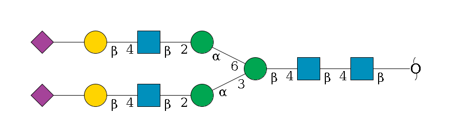 redEnd--?b1D-GlcNAc,p--4b1D-GlcNAc,p--4b1D-Man,p(--3a1D-Man,p--2b1D-GlcNAc,p--4b1D-Gal,p--??2D-NeuAc,p)--6a1D-Man,p--2b1D-GlcNAc,p--4b1D-Gal,p--??2D-NeuAc,p$MONO,Und,-2H,0,redEnd