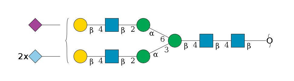 redEnd--?b1D-GlcNAc,p--4b1D-GlcNAc,p--4b1D-Man,p(--3a1D-Man,p--2b1D-GlcNAc,p--4b1D-Gal,p)--6a1D-Man,p--2b1D-GlcNAc,p--4b1D-Gal,p}((--??2D-NeuGc,p)--??2D-NeuGc,p)--??2D-NeuAc,p$MONO,Und,-2H,0,redEnd