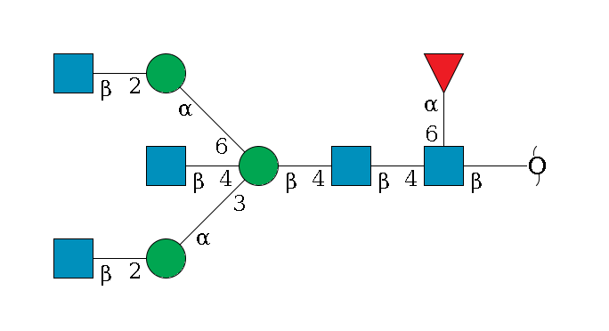 redEnd--?b1D-GlcNAc,p(--6a1L-Fuc,p)--4b1D-GlcNAc,p--4b1D-Man,p((--3a1D-Man,p--2b1D-GlcNAc,p)--4b1D-GlcNAc,p)--6a1D-Man,p--2b1D-GlcNAc,p$MONO,Und,-2H,0,redEnd
