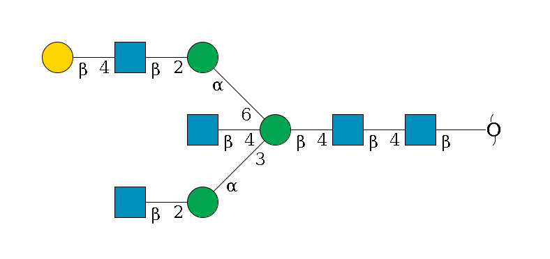 redEnd--?b1D-GlcNAc,p--4b1D-GlcNAc,p--4b1D-Man,p((--3a1D-Man,p--2b1D-GlcNAc,p)--4b1D-GlcNAc,p)--6a1D-Man,p--2b1D-GlcNAc,p--4b1D-Gal,p$MONO,Und,-2H,0,redEnd