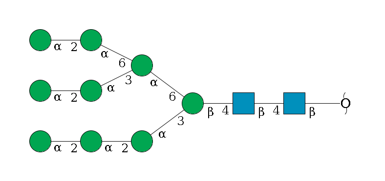 redEnd--?b1D-GlcNAc,p--4b1D-GlcNAc,p--4b1D-Man,p(--3a1D-Man,p--2a1D-Man,p--2a1D-Man,p)--6a1D-Man,p(--3a1D-Man,p--2a1D-Man,p)--6a1D-Man,p--2a1D-Man,p$MONO,Und,-2H,0,redEnd