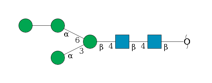redEnd--?b1D-GlcNAc,p--4b1D-GlcNAc,p--4b1D-Man,p(--3a1D-Man,p)--6a1D-Man,p--??1D-Man,p$MONO,Und,-H,0,redEnd