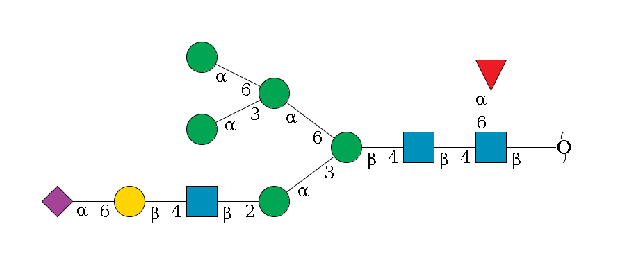 redEnd--?b1D-GlcNAc,p(--4b1D-GlcNAc,p--4b1D-Man,p(--3a1D-Man,p--2b1D-GlcNAc,p--4b1D-Gal,p--6a2D-NeuAc,p)--6a1D-Man,p(--3a1D-Man,p)--6a1D-Man,p)--6a1L-Fuc,p$MONO,Und,-2H,0,redEnd