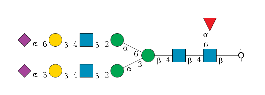 redEnd--?b1D-GlcNAc,p(--4b1D-GlcNAc,p--4b1D-Man,p(--3a1D-Man,p--2b1D-GlcNAc,p--4b1D-Gal,p--3a2D-NeuAc,p)--6a1D-Man,p--2b1D-GlcNAc,p--4b1D-Gal,p--6a2D-NeuAc,p)--6a1L-Fuc,p$MONO,Und,-2H,0,redEnd