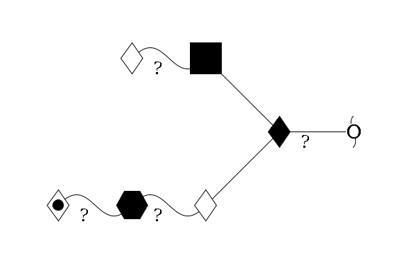 redEnd--??1D-GalNAc,p(--3b1D-Gal,p--??1HexNAc,p--??1L-Fuc,p)--6b1D-GlcNAc,p--??1D-Gal,p$MONO,Und,-H,0,redEnd