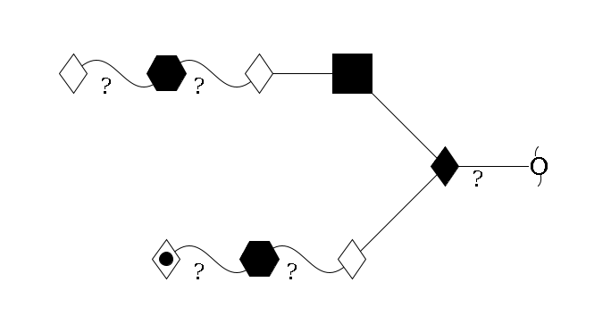 redEnd--??1D-GalNAc,p(--3b1D-Gal,p--??1HexNAc,p--??1L-Fuc,p)--6b1D-GlcNAc,p--4b1D-Gal,p--??1HexNAc,p--??1D-Gal,p$MONO,Und,-2H,0,redEnd