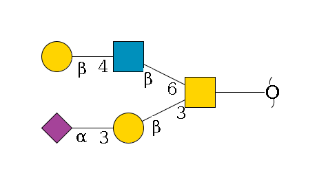redEnd--??1D-GalNAc,p(--3b1D-Gal,p--3a2D-NeuAc,p)--6b1D-GlcNAc,p--4b1D-Gal,p$MONO,Und,-H,0,redEnd