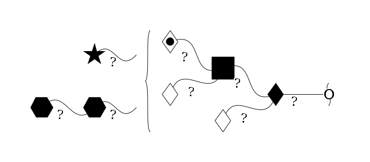redEnd--??1D-GalNAc,p(--??1D-Gal,p)--??1D-GlcNAc,p(--??1D-Gal,p)--??1L-Fuc,p}(--??1HexNAc,p--??1HexNAc,p)--??2D-NeuAc,p$MONO,Und,-2H,0,redEnd