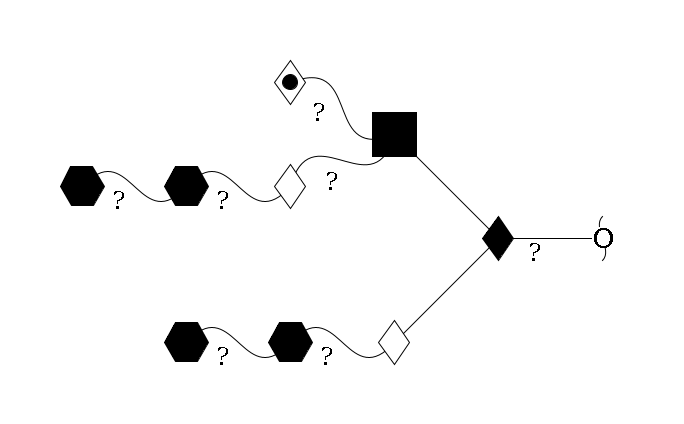 redEnd--??1D-GalNAc,p(--3b1D-Gal,p--??1HexNAc,p--??1HexNAc,p)--6b1D-GlcNAc,p(--??1D-Gal,p--??1HexNAc,p--??1HexNAc,p)--??1L-Fuc,p$MONO,Und,-2H,0,redEnd